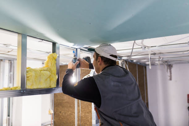 Best Energy-efficient Insulation  in North Shore, VA