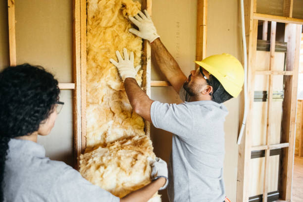 Best Crawl Space Insulation  in North Shore, VA