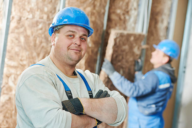 Insulation Replacement Services in North Shore, VA