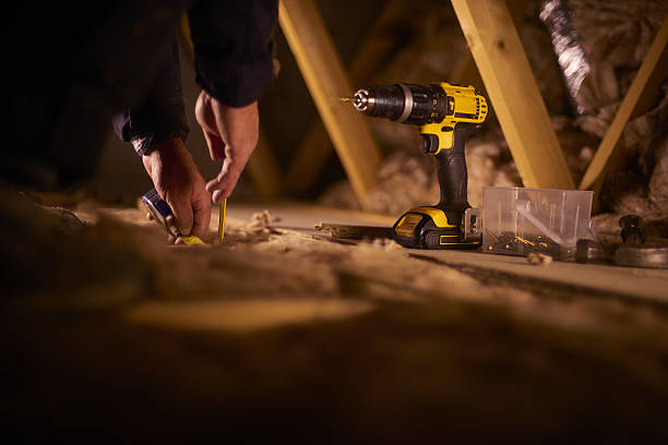 Best Insulation Removal  in North Shore, VA